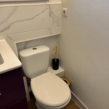 公寓 Le Cosy Mirande 第戎